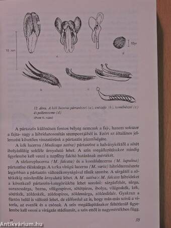 A lucerna termesztése