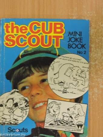 The Cub Scout