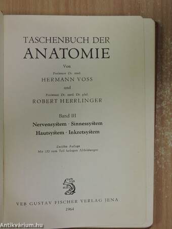 Taschenbuch der Anatomie III. (töredék)