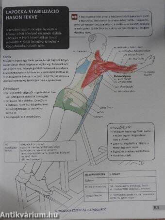 Fitneszanatómia nőknek