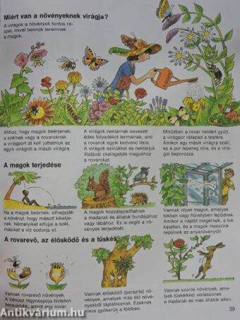 Park-Usborne enciklopédia gyermekeknek