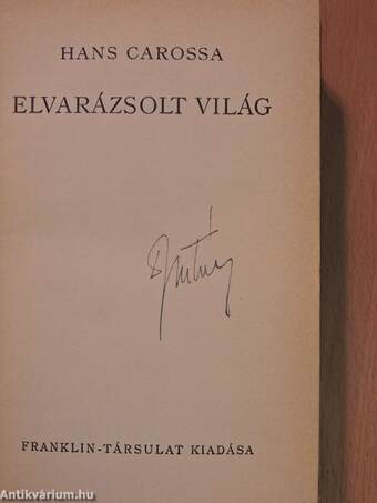 Elvarázsolt világ