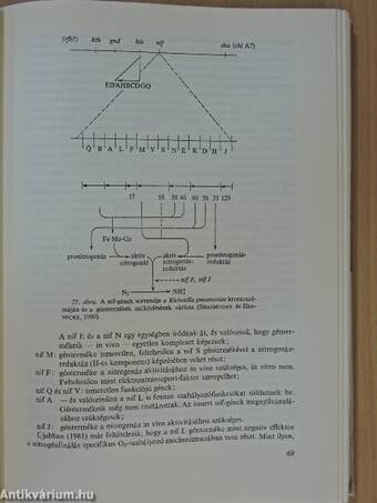 Az általános talajtan biológiai alapjai