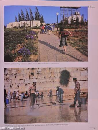 The Israelis Photographs of a Day in May