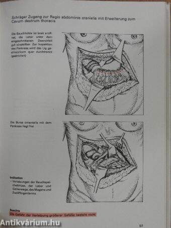 Zugangswege in der Traumatologie