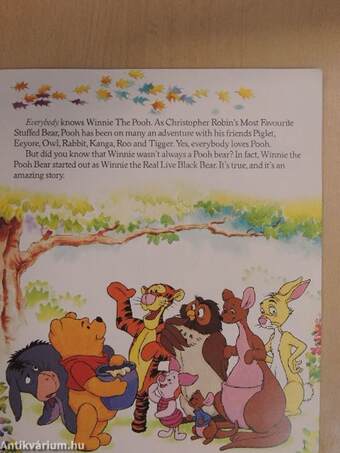 The Original Story of Winnie the Pooh