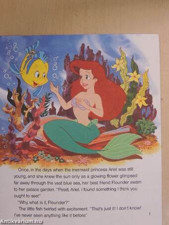 Ariel and the Secret Grotto