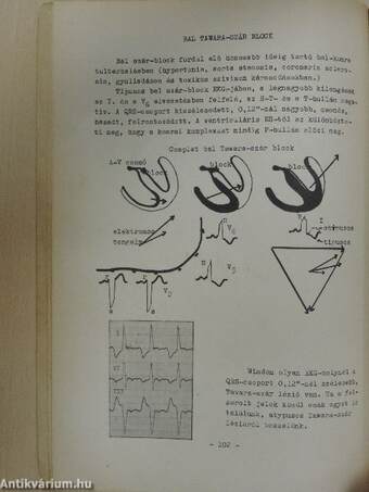 Elektrokardiographia asszisztensek részére