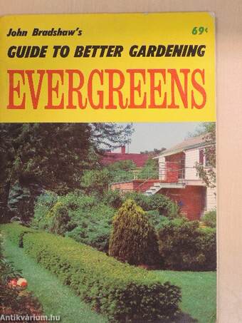 All About Evergreens