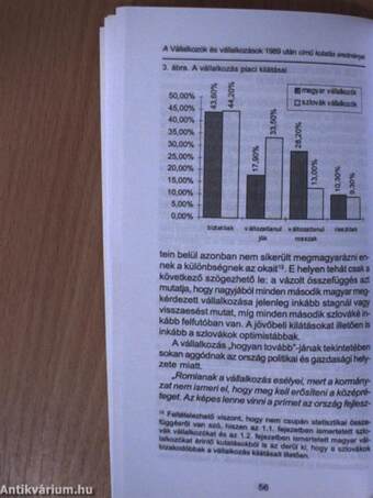 Vállalkozások és vállalkozók 1989 után