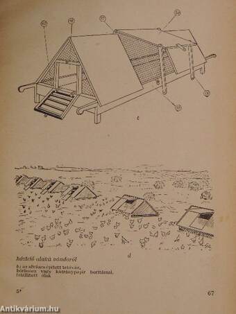 Baromfiólak és tenyésztési eszközök készítése és használata