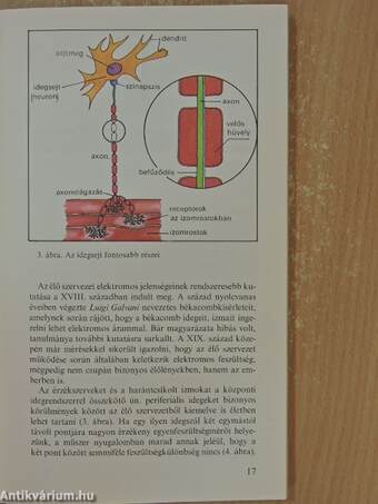 A gyógyító technika