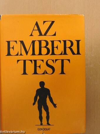 Az emberi test 1. (töredék)