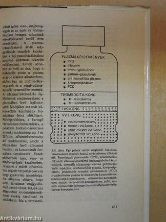 Az emberi test 1. (töredék)