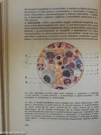 Az emberi test 1. (töredék)