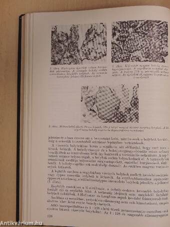 Magyar Nőorvosok Lapja 1972-1973. január-december