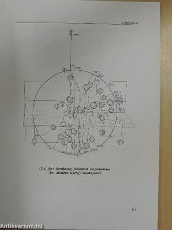 Projekt menedzsment