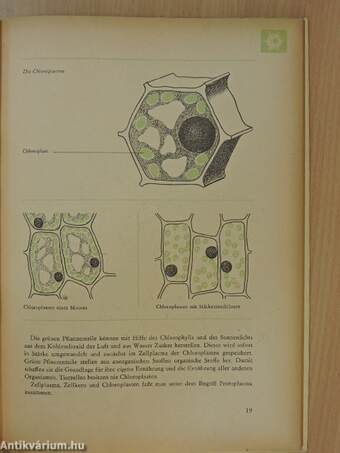 Biologie 7.