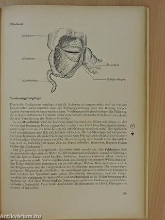 Biologie 9.