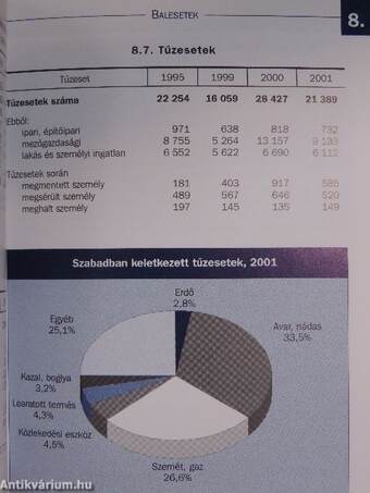 Magyar statisztikai zsebkönyv 2001