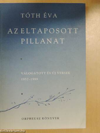 Az eltaposott pillanat