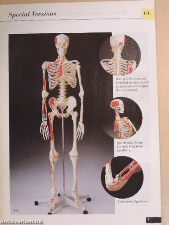 3B models for scientific education