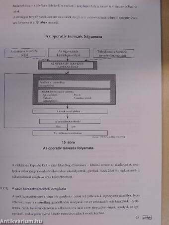 A controlling tudományos megközelítése és alkalmazása