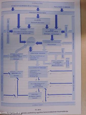 A controlling tudományos megközelítése és alkalmazása