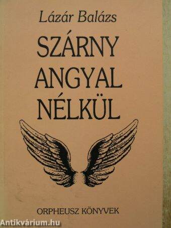 Szárny angyal nélkül