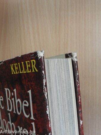 Und die Bibel hat doch recht in Bildern