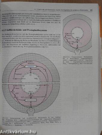 Lehrbuch der Hypertonie