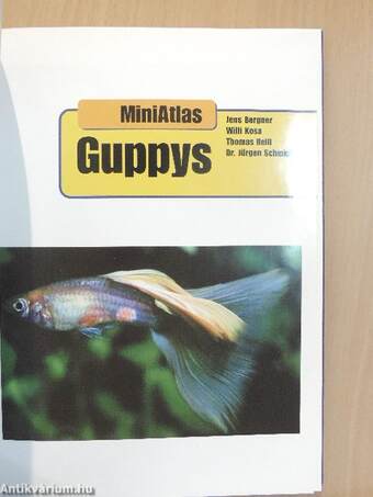 Guppys