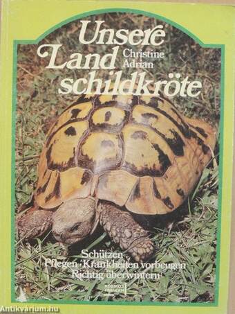 Unsere Land schildkröte