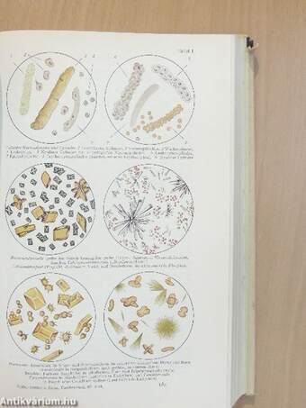 Taschenbuch der Medizinisch-Klinischen Diagnostik