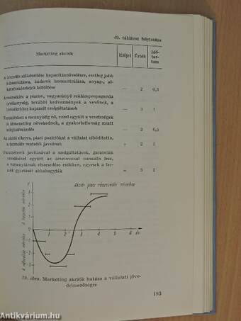 A vállalat távlati terve