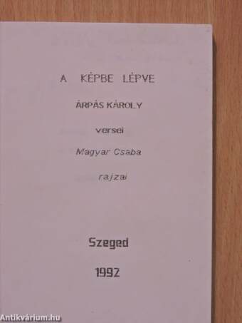 A képbe lépve (dedikált példány)