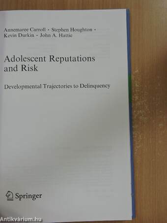 Adolescent Reputations and Risk