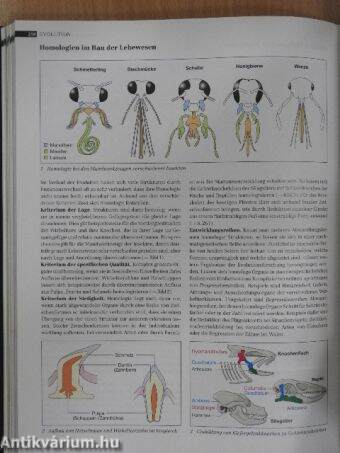 Biologie Oberstufe