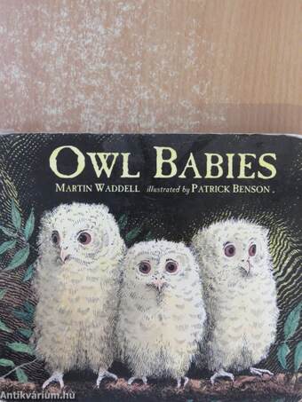 Owl Babies