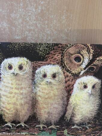 Owl Babies