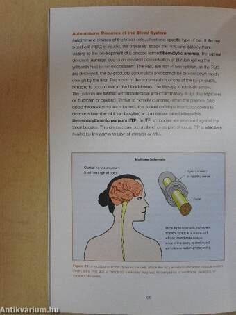 Autoimmune Diseases - "The Enemy from Within"