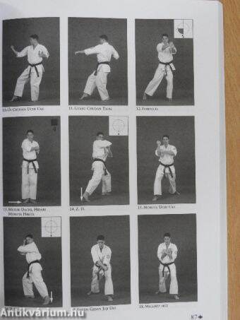 Kyokushin karate III.