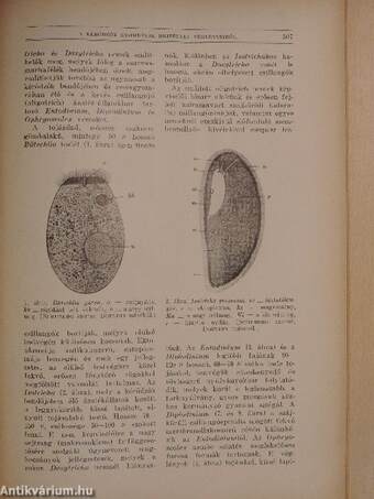 Természettudományi Közlöny 1930. szeptember 1-15.