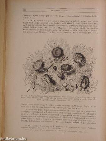 Természettudományi Közlöny 1930. május 15.