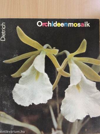 Orchideenmosaik