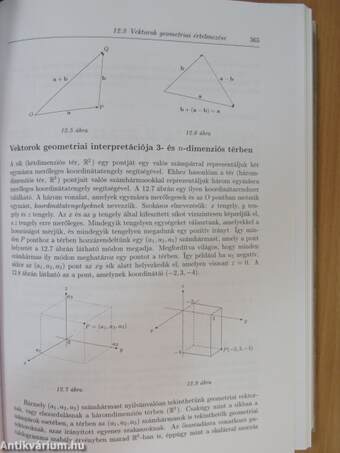 Matematika közgazdászoknak