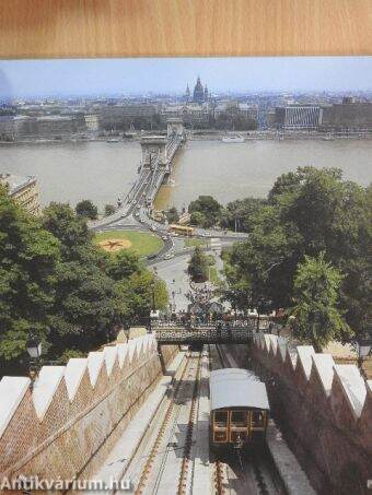 Buda Castle