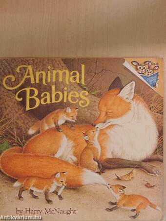 Animal Babies