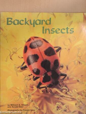 Backyard Insects