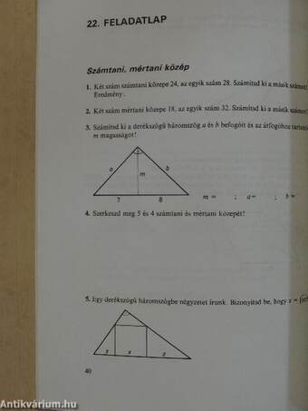 Matematika feladatlapok II.